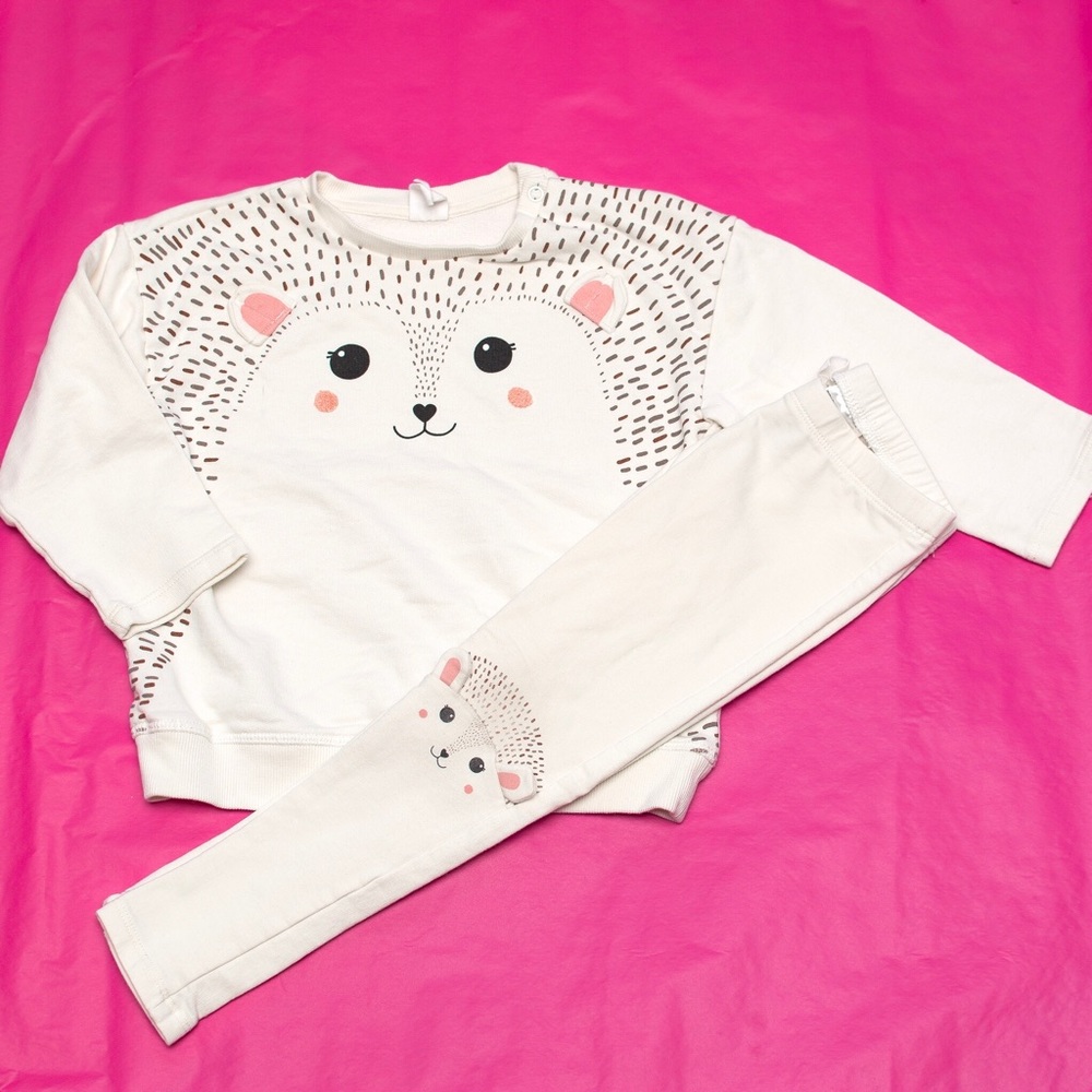 Hedgehog Set